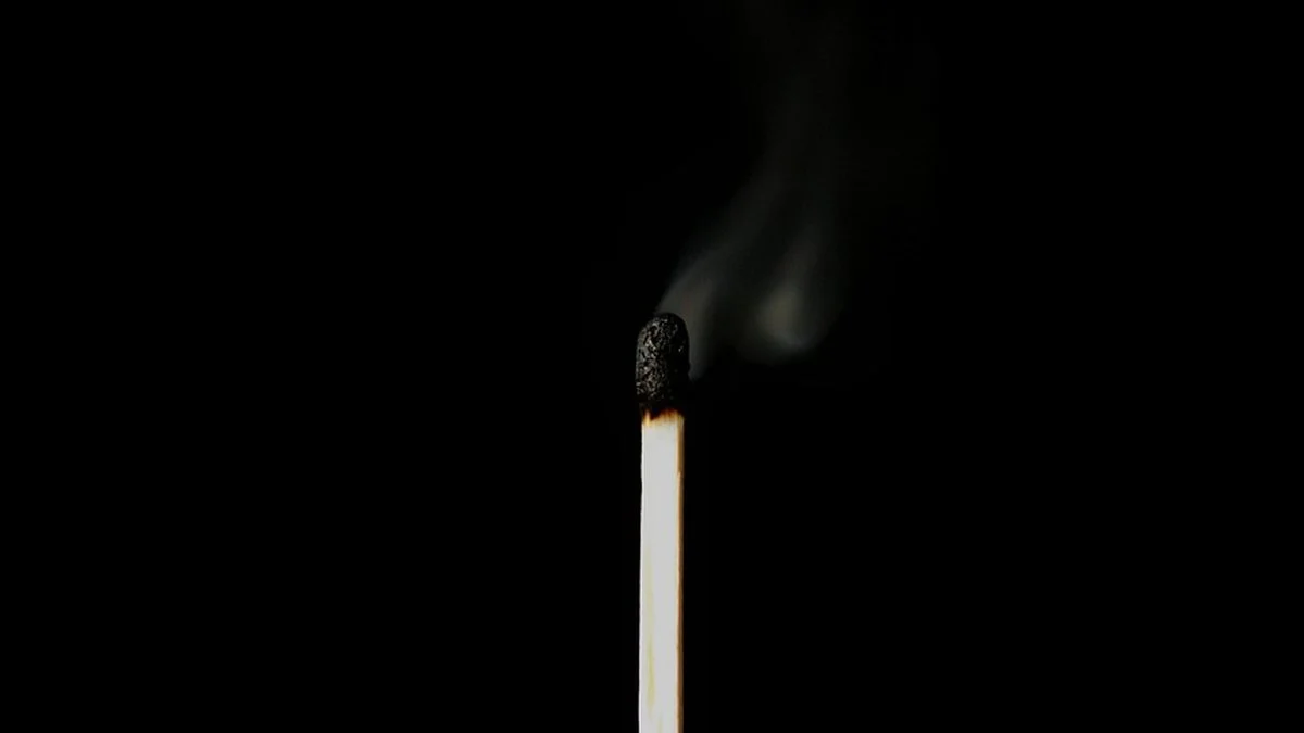 威廉姆斯女王杯双打回归:阵容结构与角色分工解析